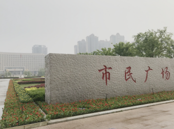 张店区人民政府 部门动态 区园林绿化服务中心大力,"